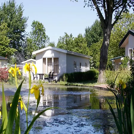 Campo de lujo Tent With Bathroom, Near A Recreation Area